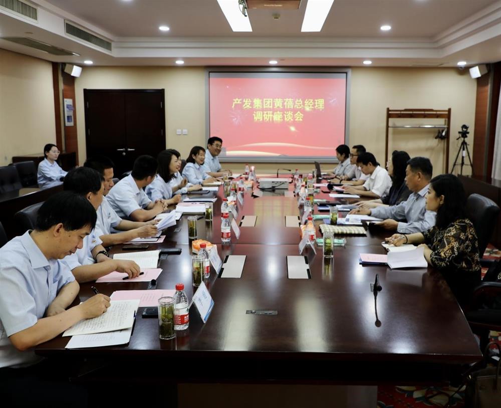 集團(tuán)黨委副書記、總經(jīng)理黃蓓帶隊(duì)調(diào)研濟(jì)南市工程咨詢院