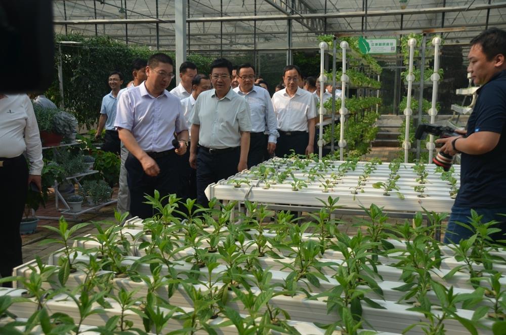 科技助農，播撒光的種子  精準扶貧，助力鄉(xiāng)村振興